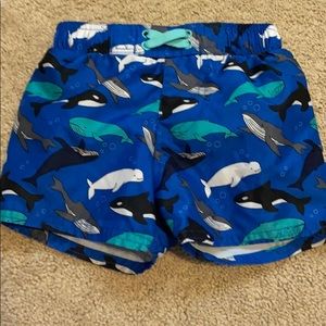 Cat & Jack Whales swim shorts-(18mon)
